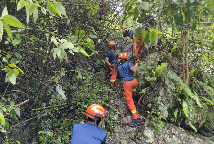 救援人員在森林搜救。
