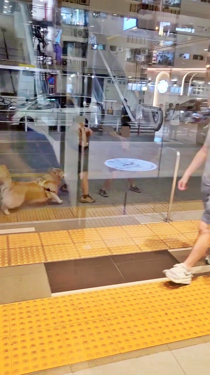 facebook截圖(資料來源:輝輝廖@facebook齊齊贏馬會 馬會出糧) facebook截圖(資料來源:輝輝廖@facebook齊齊贏馬會 馬會出糧)