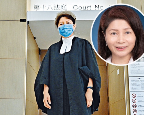 楊美琪獲委任為刑事檢控專員。 資料圖片及政府圖片