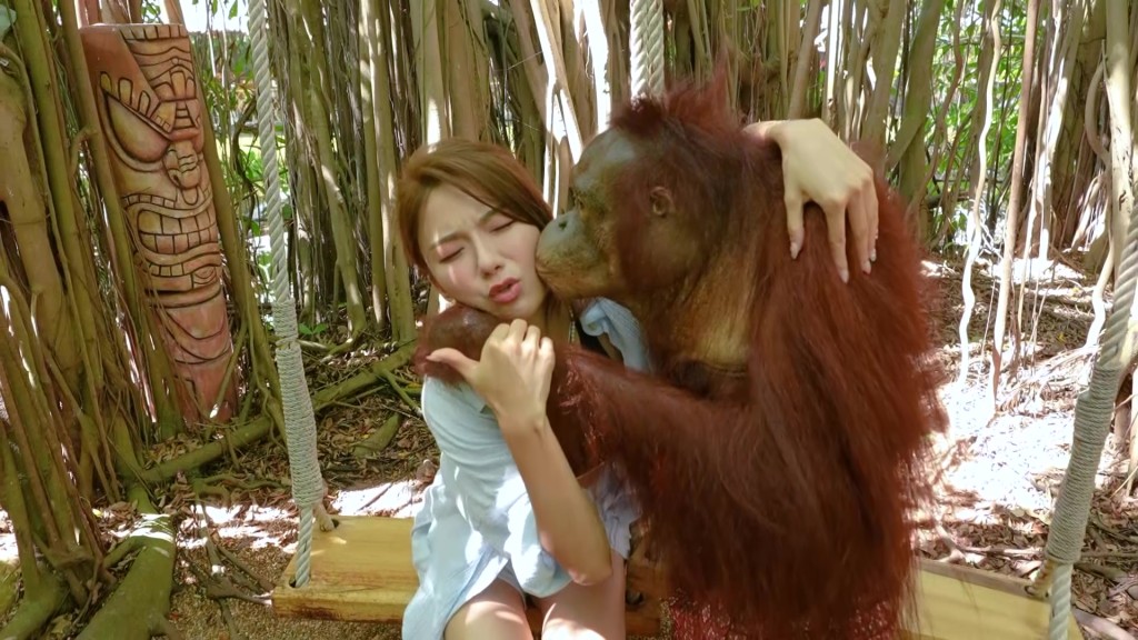 星妤鼓起勇气接受猩猩之吻。