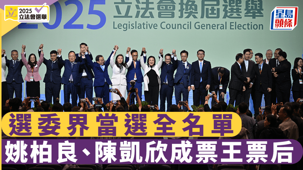 立法會選舉｜選委界40席當選全名單 姚柏良轉跑道成票王 范駿華、陳祖光等當選 民建聯8人全勝