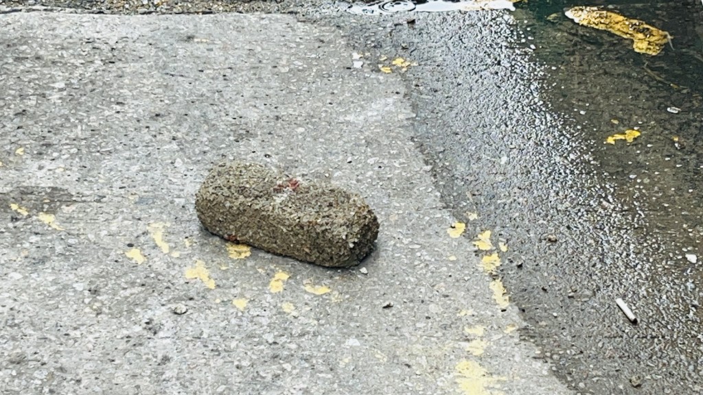 地上遺下磚碩。