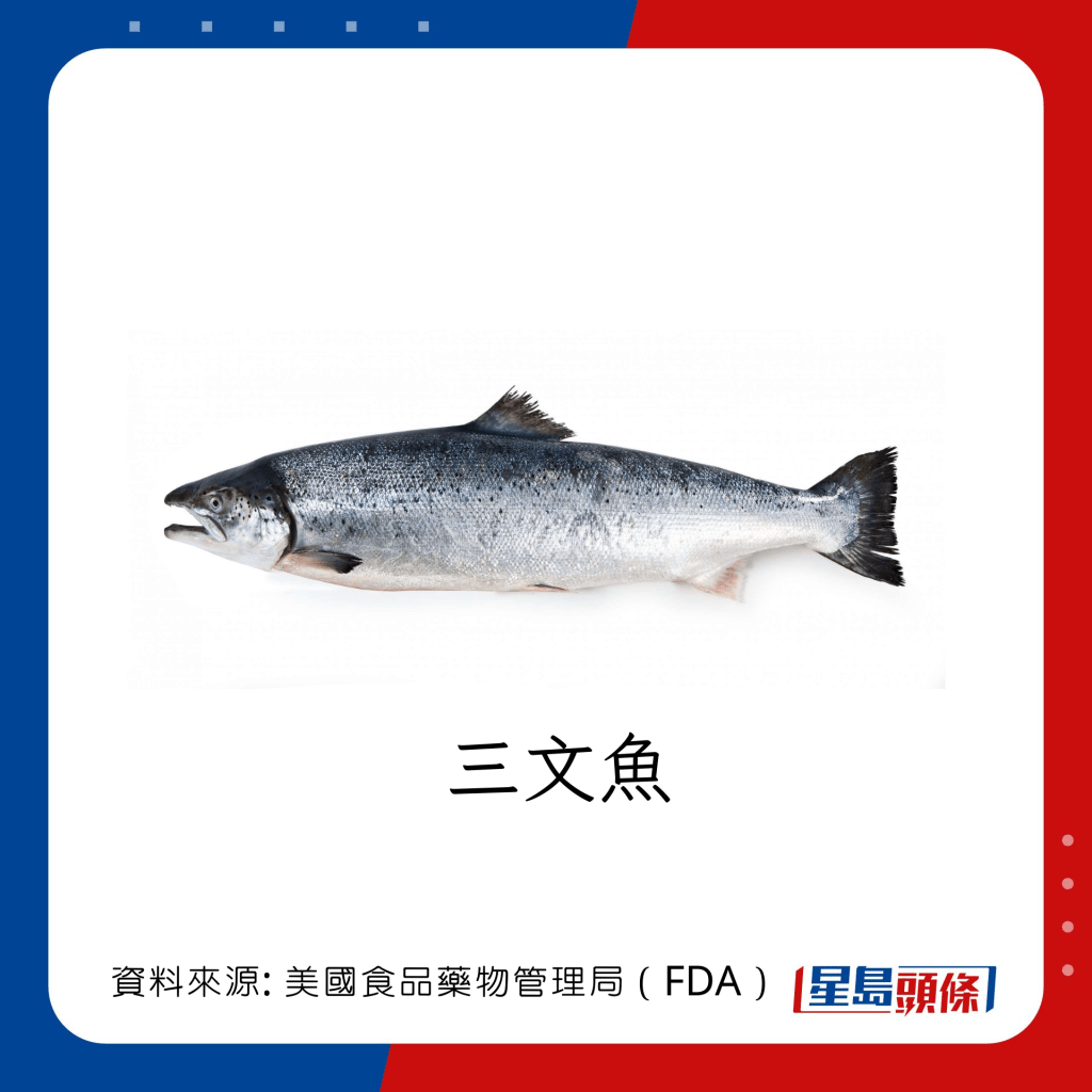 低水銀魚類 三文魚