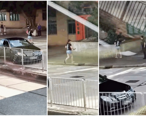一名女司機特地停車,將車路上受傷的雀鳥移送到路旁。影片截圖