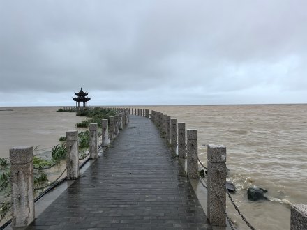 台风“白海豚”为多地带来暴雨。微博@紫陌X纤尘