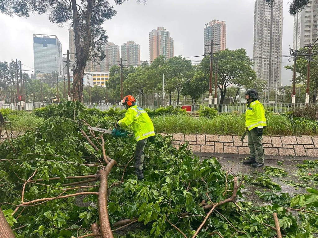 強颱風紅霞吹襲香港,導致多宗塌樹、水浸及棚架倒塌。香港警方FB圖片 強颱風紅霞吹襲香港,導致多宗塌樹、水浸及棚架倒塌。香港警方FB圖片