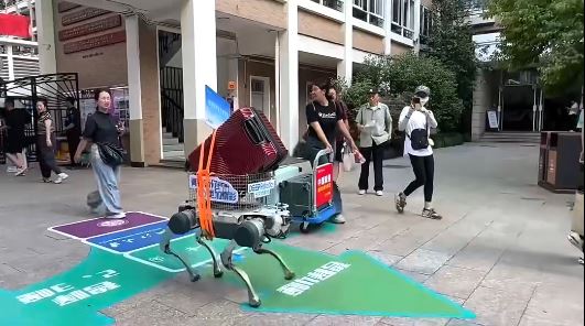 浙江大學有機器狗幫助新生搬行李回宿舍。小紅書@機器之心