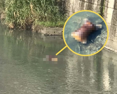 躯干漂流在水沟之上，吓坏途人。互联网图片