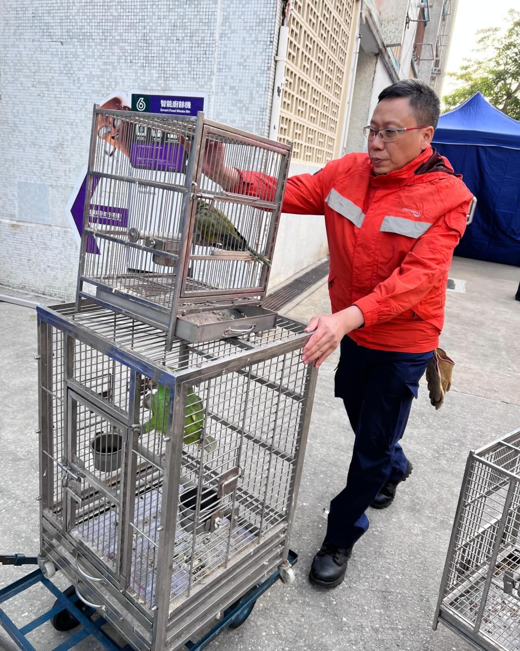 獸醫檢查救出的動物。香港愛護動物協會提供