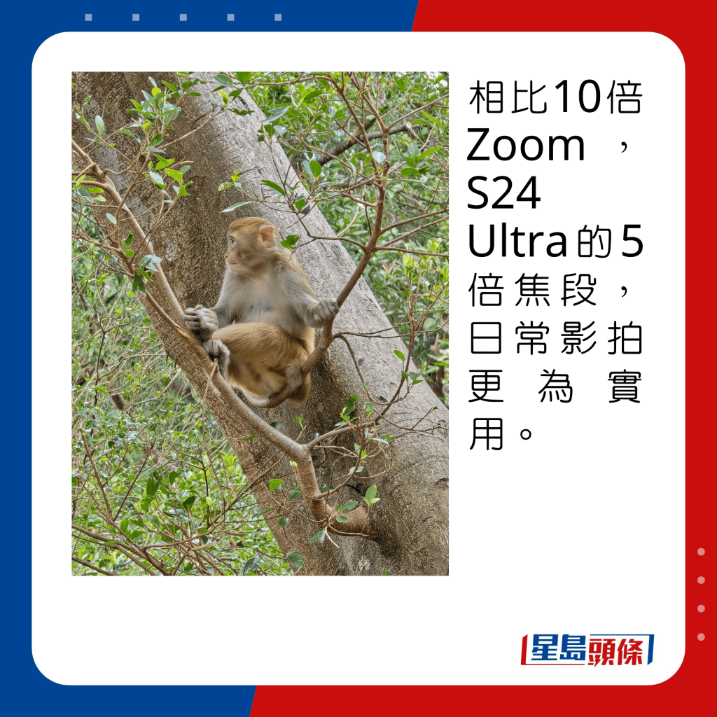相比10倍Zoom，S24 Ultra的5倍焦段，日常影拍更為實用。