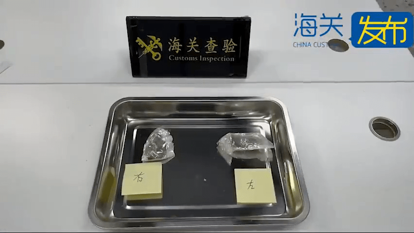 旅客左右腳的襪子內查獲大麻植物各1包。