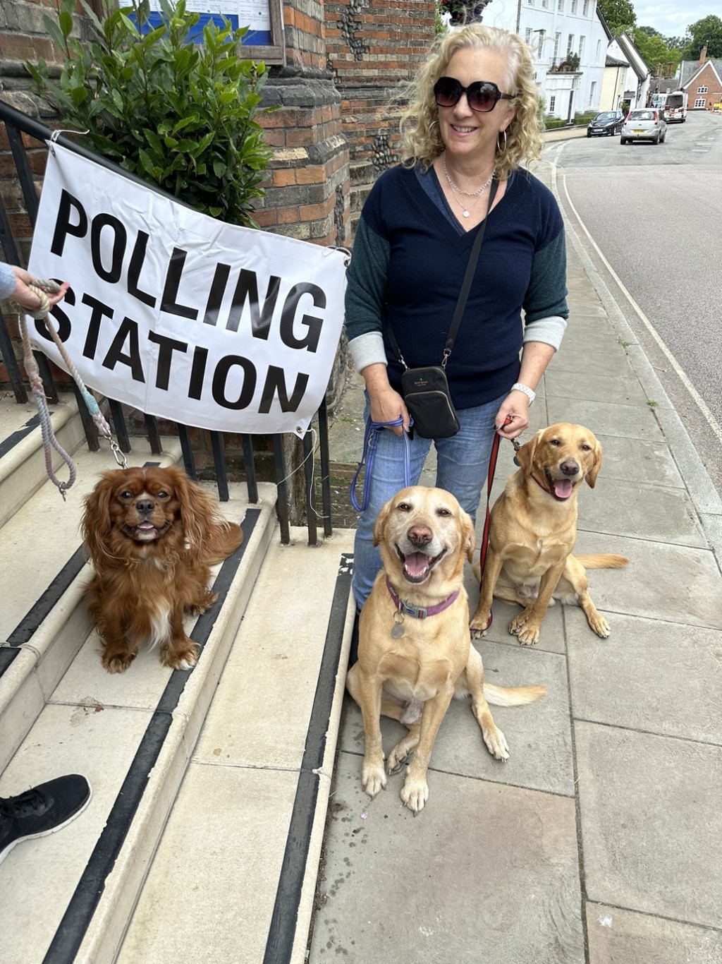 饲主带上多只宠物犬，一起到票站投票。