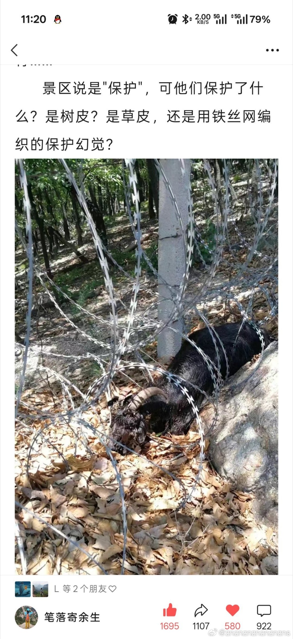 泰山被刀片鐵絲網圍封劣評如潮,被指破壞生態。微博 泰山被刀片鐵絲網圍封劣評如潮,被指破壞生態。微博