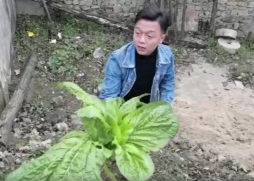 新郎耿先生。网图