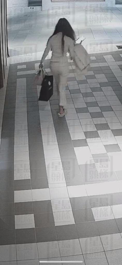 蔡天鳳位於何文田加多利山寓所的閉路電視，攝得其後身影。(CCTV截圖)