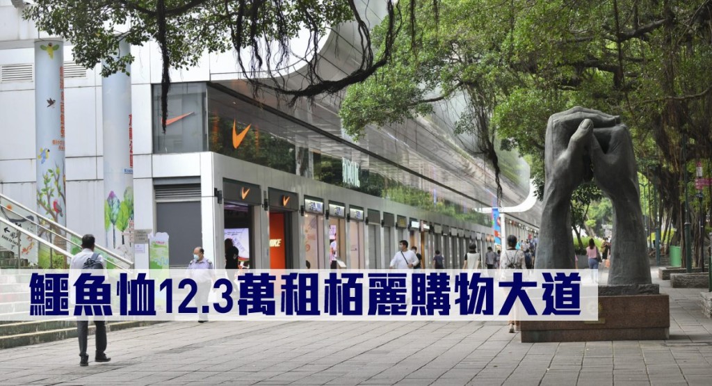 鱷魚恤12.3萬租栢麗購物大道。