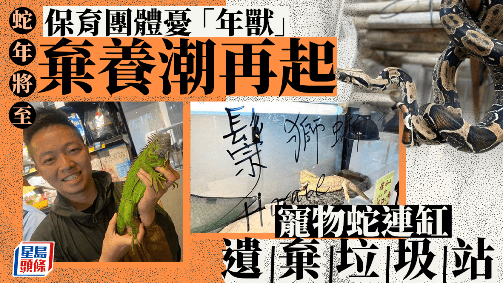 每日雜誌|連缸遺棄垃圾站 團體憂新年掀熱潮 龍蛇交替「年獸」被棄 飼養兩爬勿貪得意