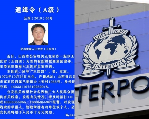 國際刑警組織發出紅色通報通緝王世君，在全球追緝該疑犯。網圖
