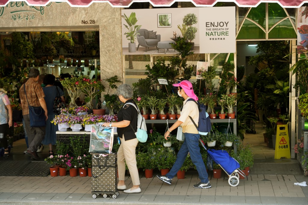 有花店将装满盆栽的双层铁架，放置行人路上。吴艳玲摄