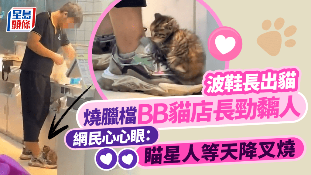 網上流傳一段BB貓店長黏人短片，燒臘店員工「腳部長出貓貓」的可愛情景融化了網民的心。
