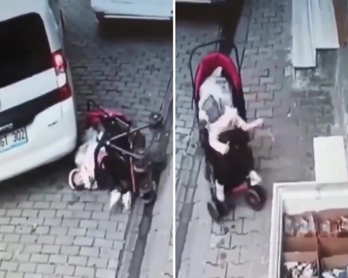 土耳其一名粗心母親將女兒獨留嬰兒車，嬰兒翻車倒地險遭私家車輾爆頭。