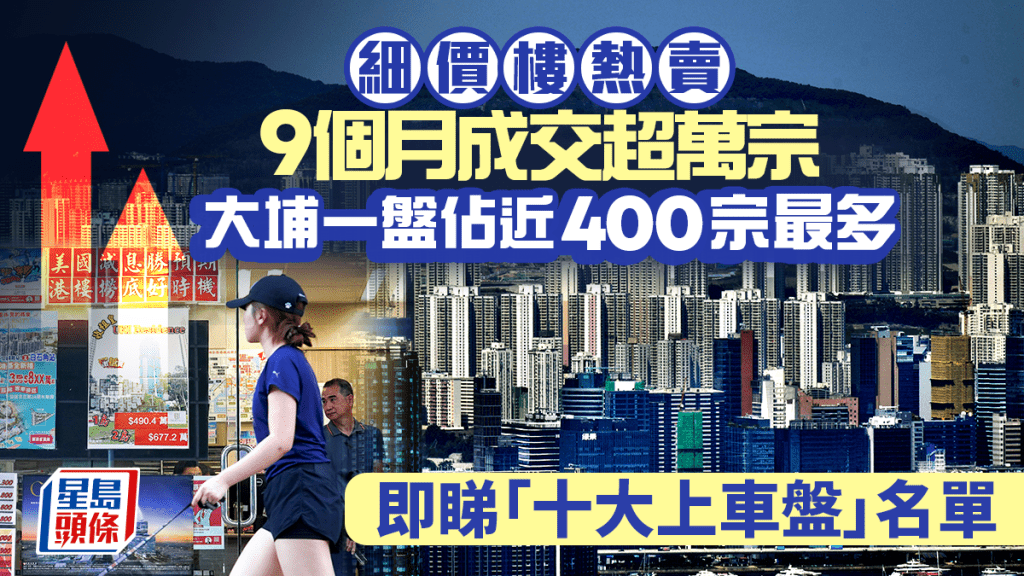 細價樓熱賣 9個月成交超萬宗 大埔一盤佔近400宗最多 即睇「十大上車盤」名單