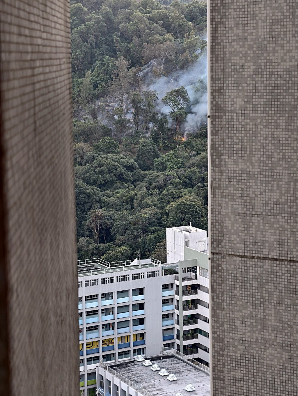 上水華明邨對開山頭發生山火。網圖