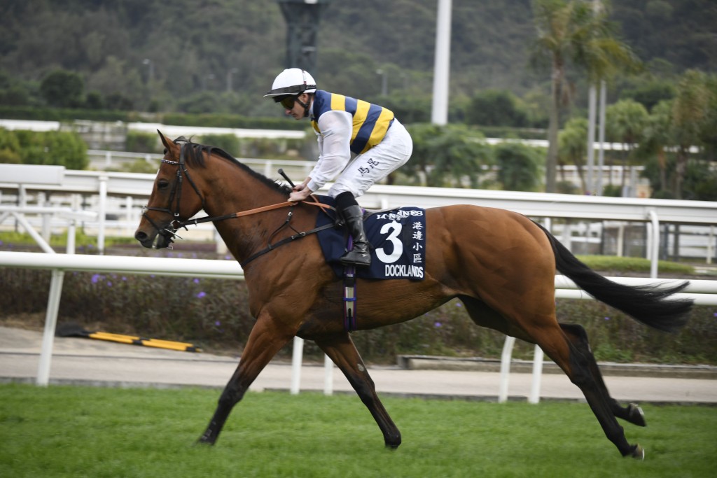 「港邊小區」本周六出戰在英國唐加士達馬場舉行，表列賽唐加士達一哩錦標。