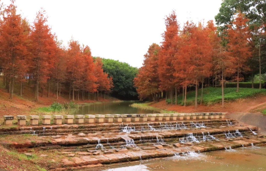 聚龍山濕地公園是位於坪山區的生態公園