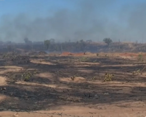 巴西亞馬遜熱帶雨林遭受火災破壞。網上圖片