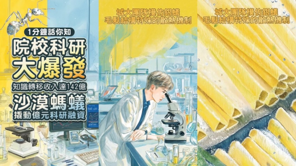 城大團隊的沙漠銀蟻，撬動近億元科研融資。 