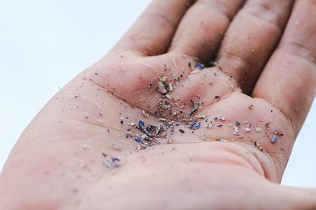 微塑胶一般定义为直径小于5毫米的塑料颗粒。路透社