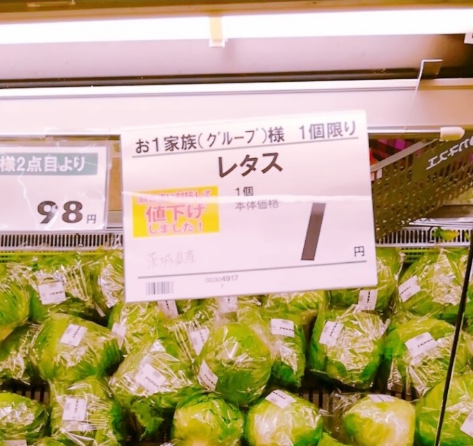 网上图片