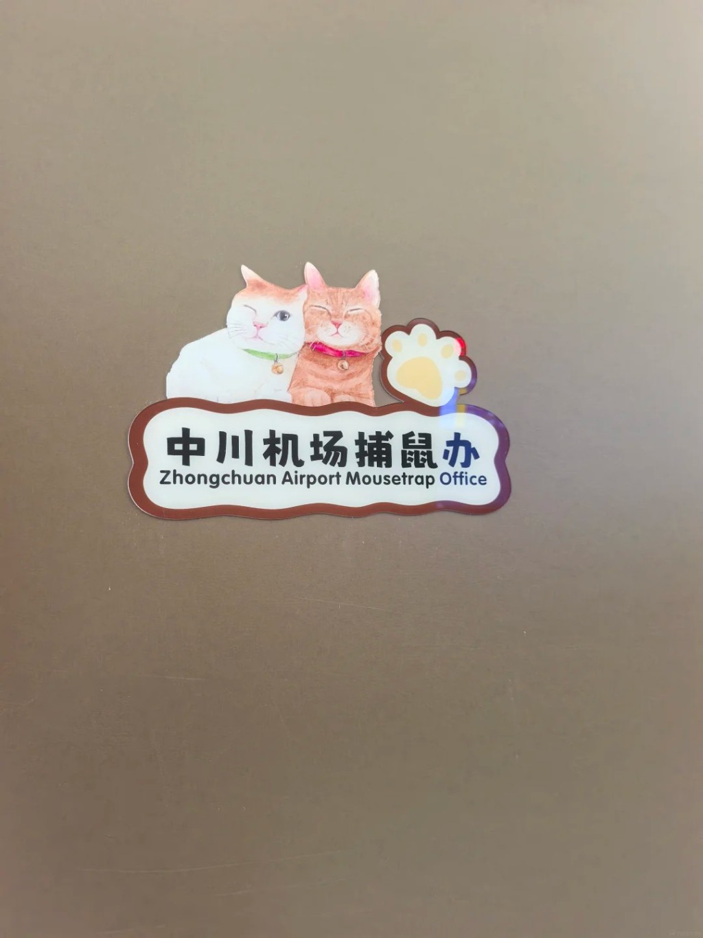 蘭州中川機場收編3流浪貓,玻璃捕鼠辦變打卡熱點。小紅書@森林破壞王啄木鳥 蘭州中川機場收編3流浪貓,玻璃捕鼠辦變打卡熱點。小紅書@森林破壞王啄木鳥