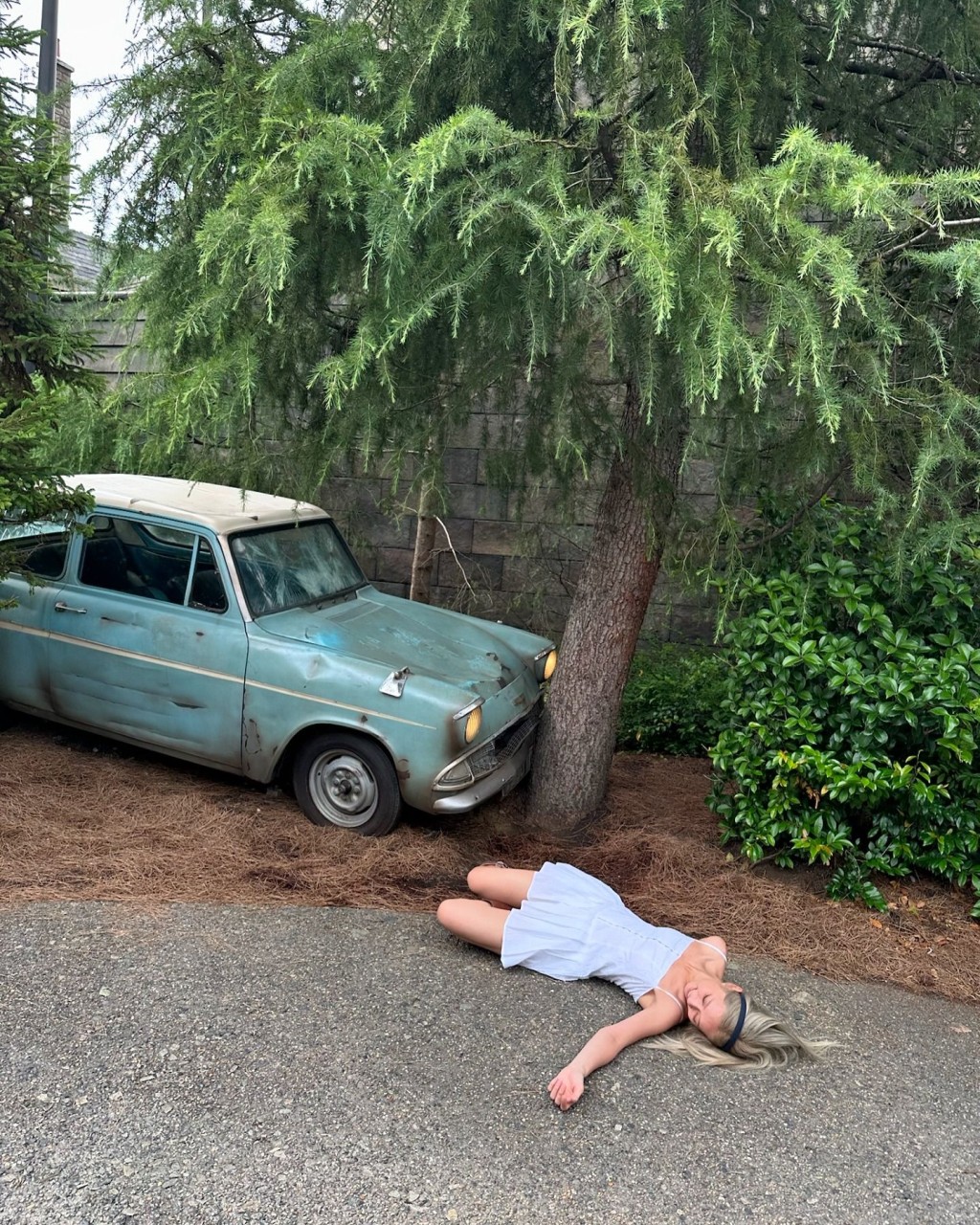 吳家忻上載在主題樂園內「倒臥車前」的照片。