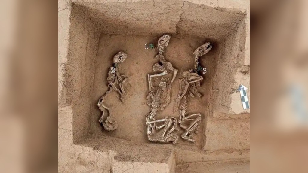 河南安陽殷墟王陵區發現最早野生動物園。圖為K99祭祀坑，其中1、2、3所示處為銅鈴。 新華社