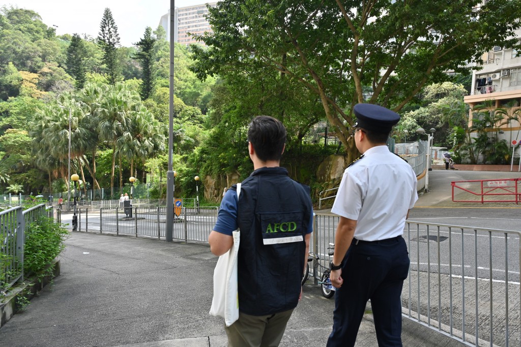 漁護署聯同食物環境衞生署人員進行聯合執法行動，打擊非法餵飼活動。政府新聞處