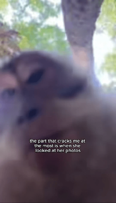 莎宾娜检查手机时，发现猴子的自拍录影。IG平台