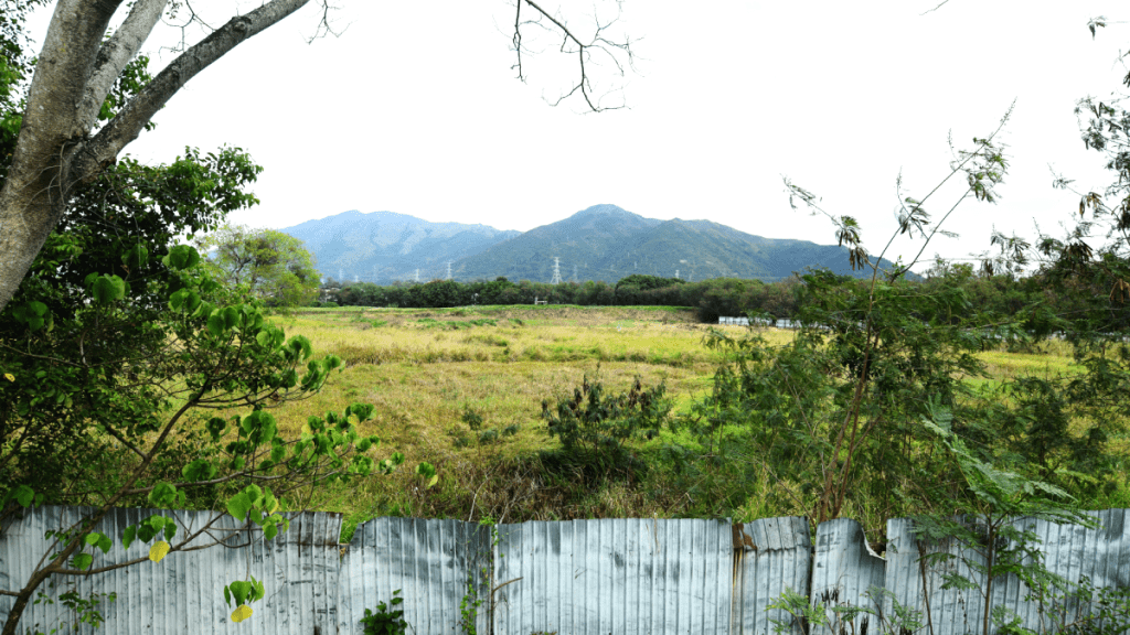 恒基米埔錦壆路住宅地棄洋房 建1303伙分層