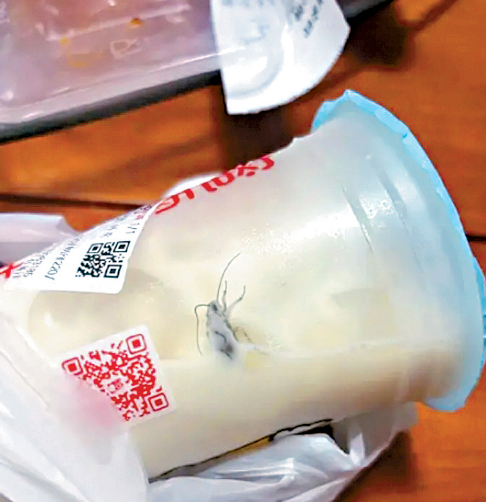 茉莉奶綠內發現一隻蟑螂。