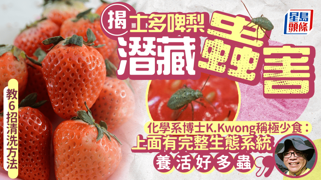 K.Kwong拆解士多啤梨潛藏蟲害!表明自己「極少食」教6招清洗方法