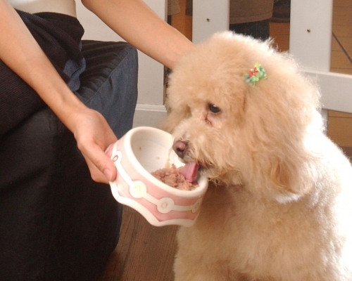 資料圖片