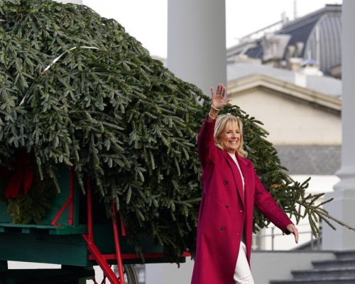 吉爾·拜登近日在白宮接收了2021年白宮聖誕樹。美聯社圖片