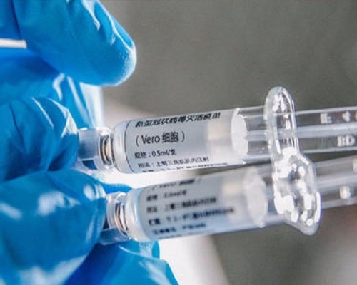 科興指正準備疫苗第三期研究資料。網上圖片