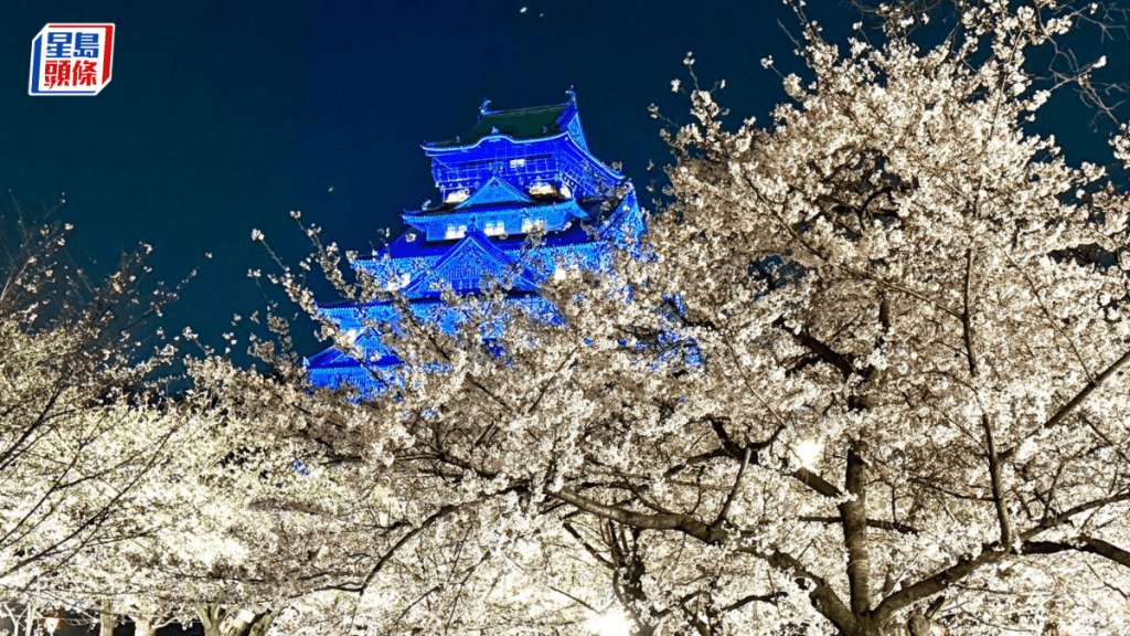 昇哥打卡｜大阪城公園櫻花盛放