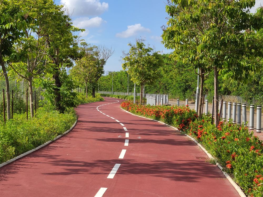 在興建安全的單車徑同時,工程團隊亦不忘美化設。網誌圖片