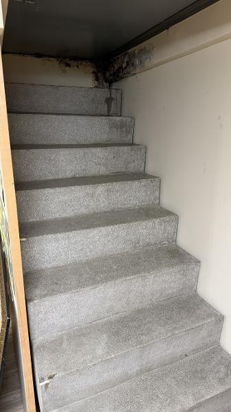 通往地下室的楼梯仍留有游阿妹的血迹。 不义遗址网站 通往地下室的楼梯仍留有游阿妹的血迹。 不义遗址网站