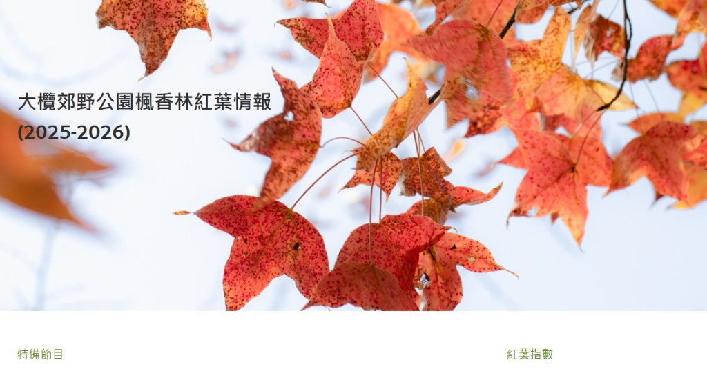 漁護署「大欖郊野公園楓香林紅葉情報」截圖