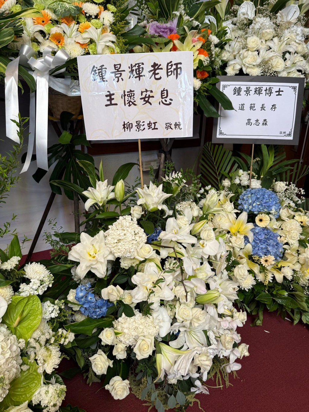 柳影虹
