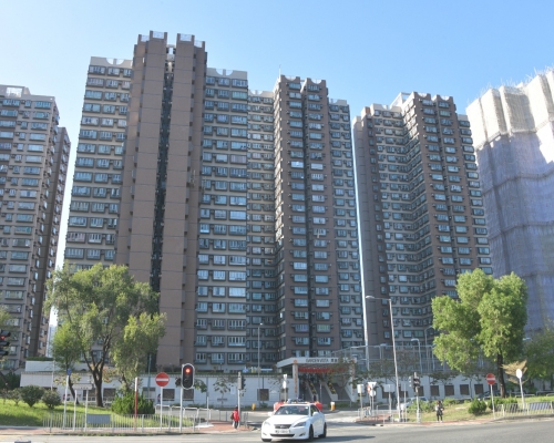 翠湖花園高層戶910萬成交